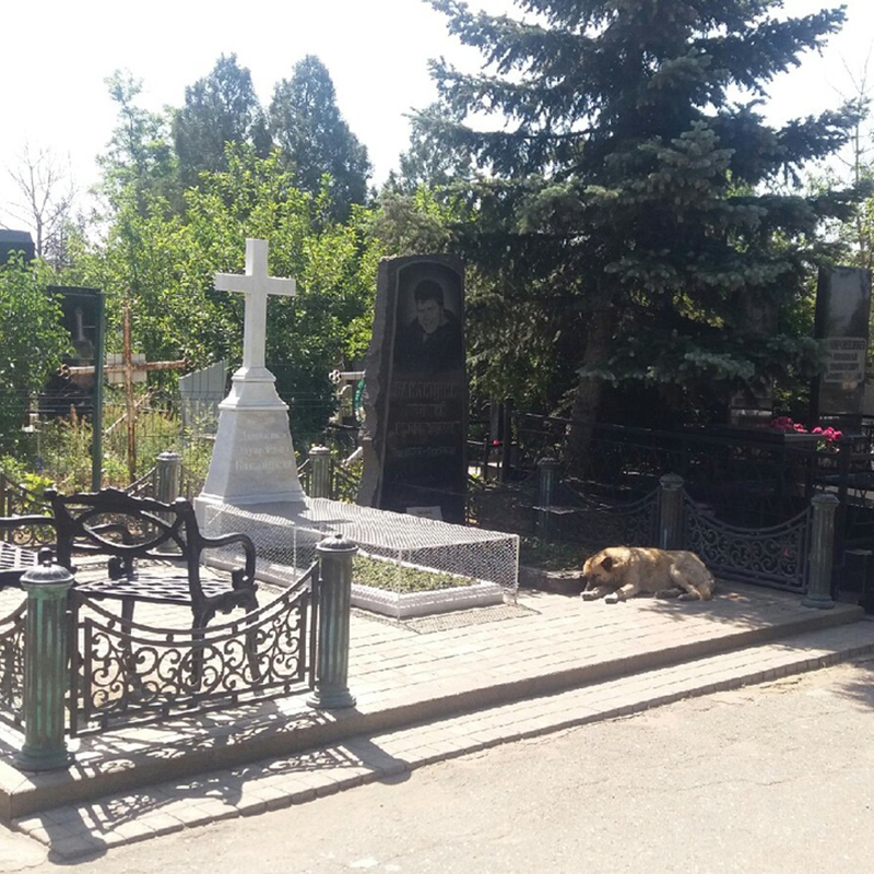 Северное кладбище 3