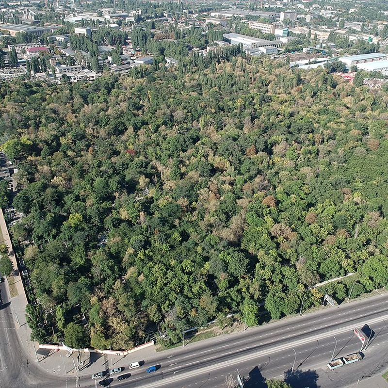 Русско-Слободское кладбище 4